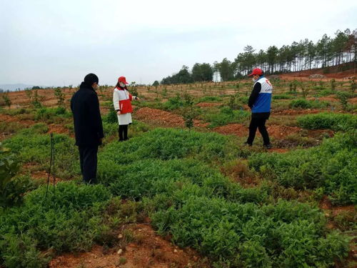 吉水奏響抗疫 青春戰(zhàn)歌