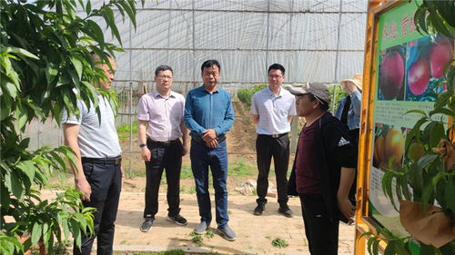 平頂山市科技局實地考察市級星創天地建設情況