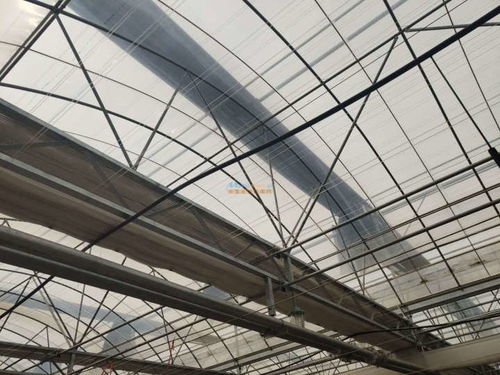 海榮模塊溫室報價 山東專業(yè)的海榮模塊溫室 壽光市隆農(nóng)大棚保溫材料廠