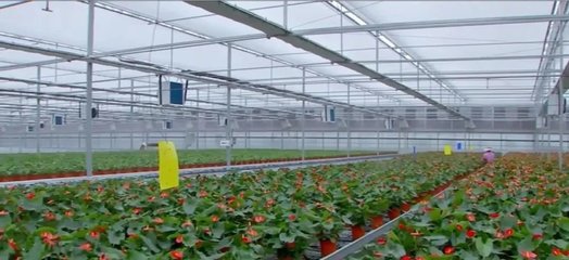 泰州:建設農業強市 在推進農業現代化上走在前