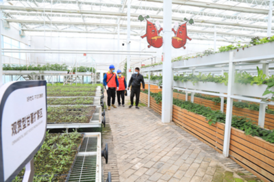 泗水縣人民政府 最新動態(tài) 縣供電公司:電足蔬果飄香產(chǎn)業(yè)興