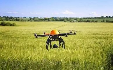 你的農(nóng)產(chǎn)品與成功的距離只差了一個品牌!