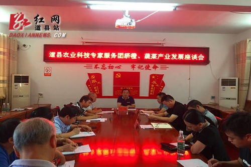 道縣召開農(nóng)業(yè)科技專家服務(wù)團(tuán)臍橙 蔬菜產(chǎn)業(yè)發(fā)展座談會