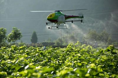 重磅|看京東、金少江、百果園、順豐如何淘金智慧農(nóng)業(yè)