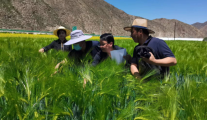 提升創(chuàng)新能力 推動(dòng)成果轉(zhuǎn)化--州農(nóng)技站2022年度&ldquo;三區(qū)&rdquo;科技服務(wù)工作紀(jì)實(shí)