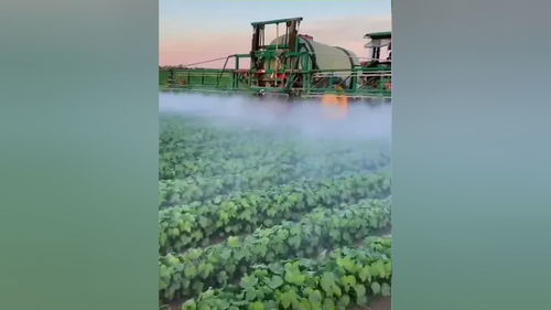 食品銷售,商超對接等農(nóng)業(yè)相關(guān)的業(yè)務(wù) 并友情關(guān)聯(lián)相關(guān)部門投資農(nóng)業(yè)基礎(chǔ)建設(shè),合作一帶一路國際業(yè)務(wù),公司的服務(wù)宗旨在于合作共贏