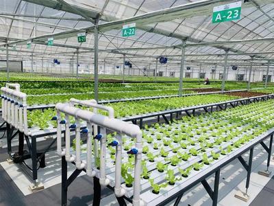 補貼上百萬!數(shù)字農(nóng)業(yè)工廠:智能化、自動化的農(nóng)業(yè)生產(chǎn)新模式