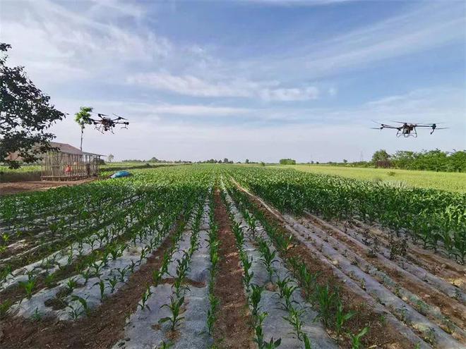 鄉(xiāng)村振興行動丨靈臺:發(fā)展農(nóng)業(yè)生產(chǎn)社會化服務(wù) 培育新時代&ldquo;田管家&rdquo;