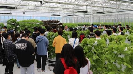 首都高校學(xué)生走進(jìn)智慧農(nóng)業(yè)實驗溫室體驗農(nóng)業(yè)黑科技