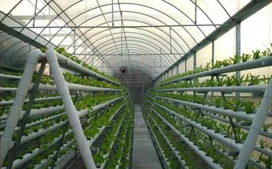 幾種現(xiàn)代精準農(nóng)業(yè)種植新模式!