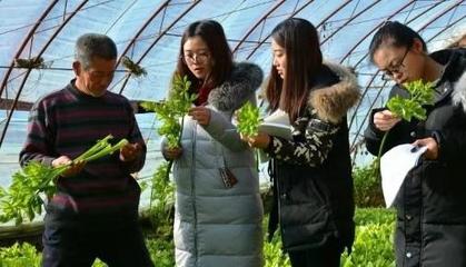 &ldquo;智囊團(tuán)&rdquo;來啦!6個(gè)科技小院落戶內(nèi)蒙古杭錦后旗