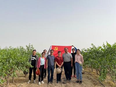 學黨史&middot;辦實事8|林果業科技服務團隊服務基層助力鄉村振興