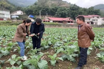 仁懷市農技專家下基層 科技服務助增收