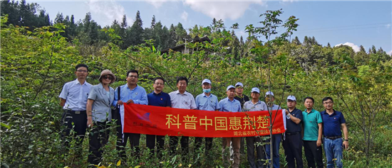 湖北省農(nóng)技協(xié)農(nóng)技專家技術服務走進山鄉(xiāng)