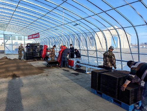 北大荒農(nóng)業(yè)股份勤得利分公司工廠(chǎng)化育秧 科技助力春耕節(jié)本增效