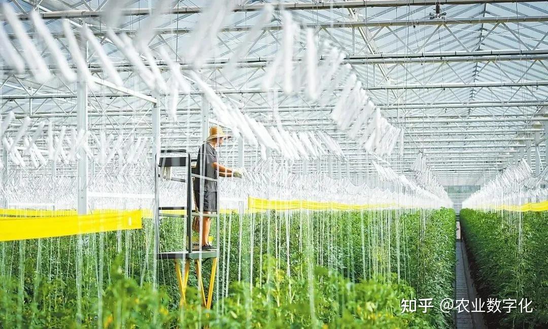 農(nóng)業(yè)科技服務(wù) 以創(chuàng)新之力破解現(xiàn)代農(nóng)業(yè)發(fā)展難題